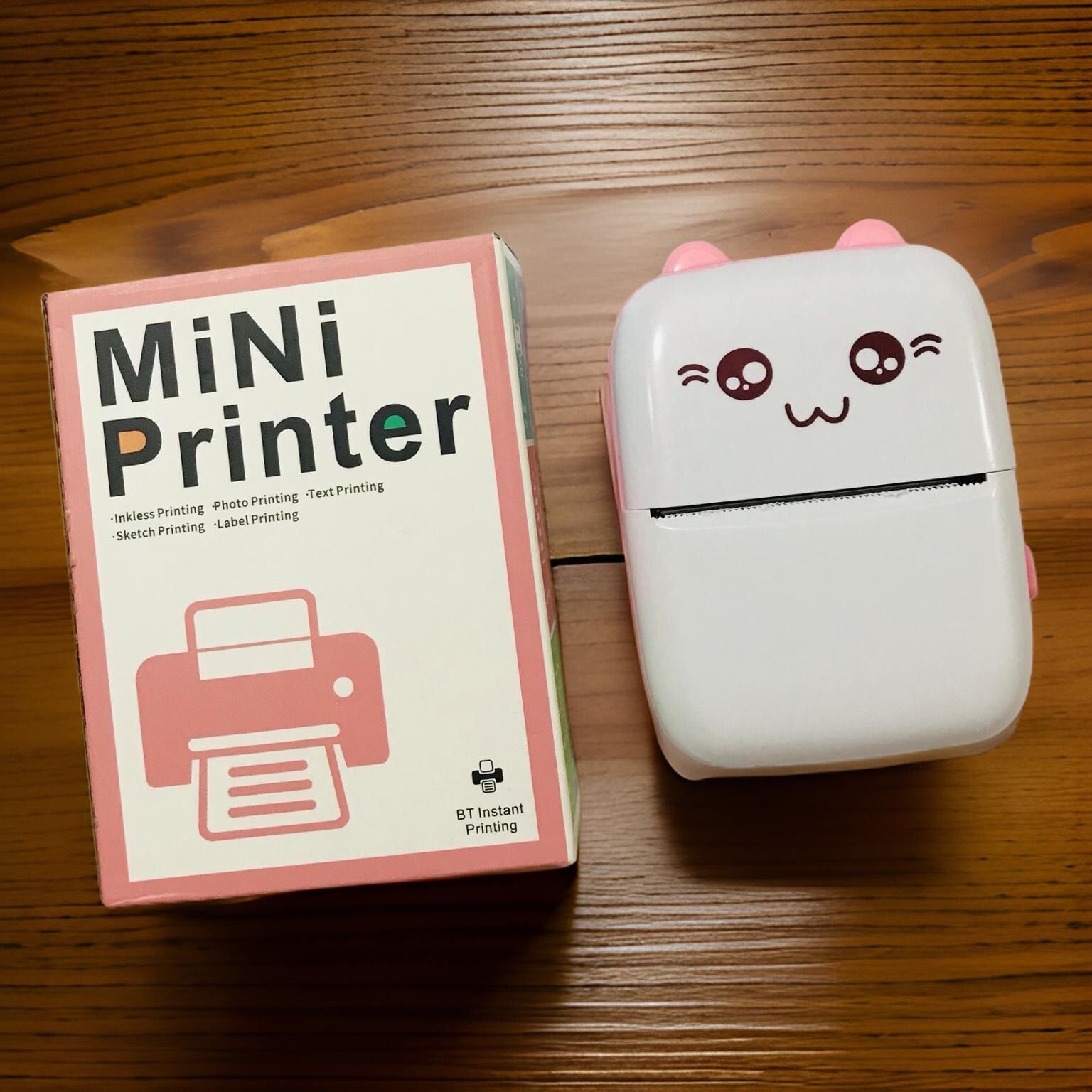 Mini portable lesar printer